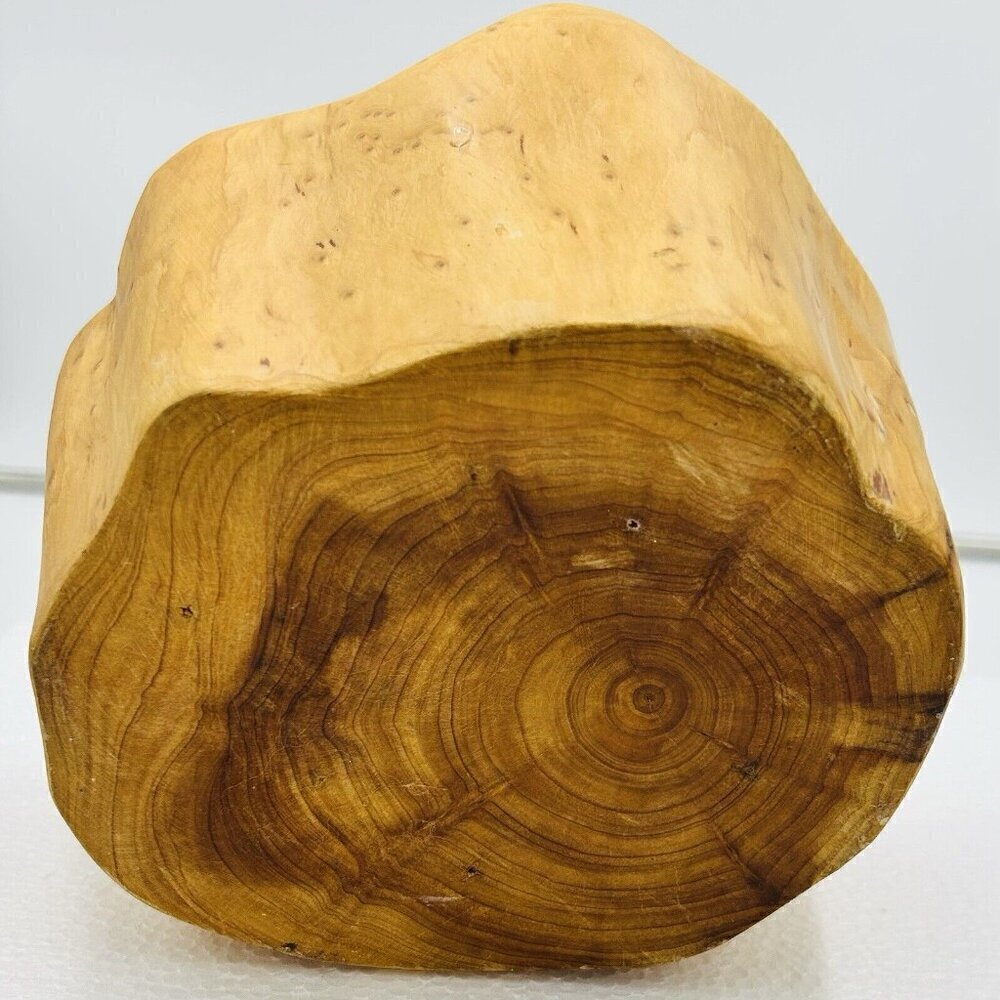 Hand Carved Burlwood Handled Basket Rustic Folk Art 8.5" x 7 x 9.5" - Picture 9 of 11